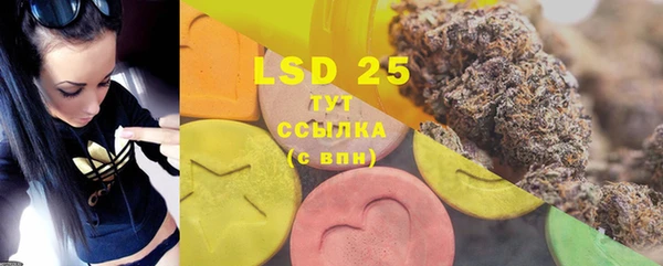 PSILOCYBIN Нея