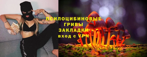 молекула духа Новодвинск