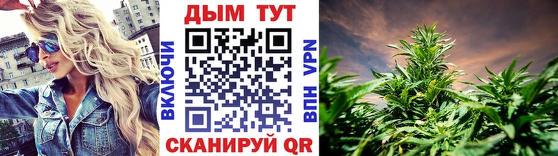 Канабис Ganja  Томилино 